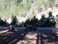 /album/sila-in-moto1/arvo-alberi-moto-jpg1/